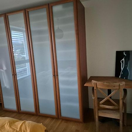 Zimmer In Penthouse-Wohnung Windisch Стая снимка