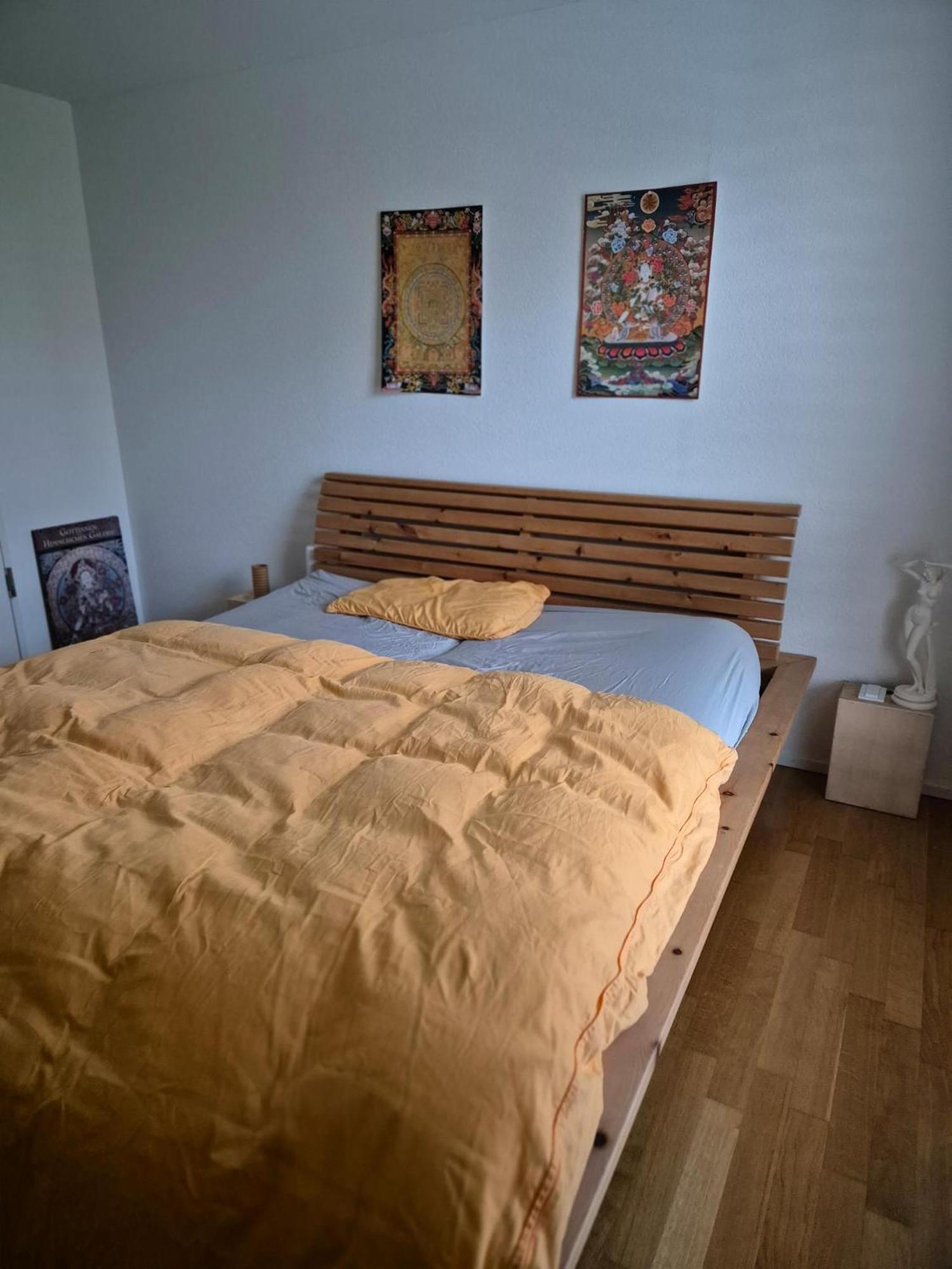 Zimmer In Penthouse-Wohnung Windisch Стая снимка