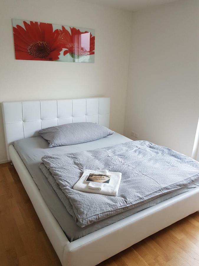Zimmer In Penthouse-Wohnung Windisch Екстериор снимка