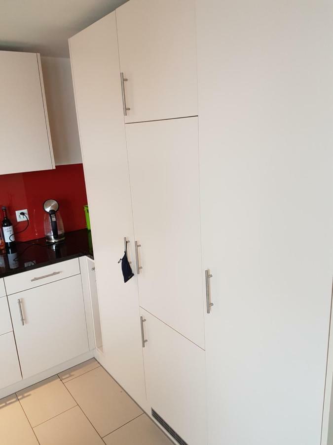 Zimmer In Penthouse-Wohnung Windisch Екстериор снимка