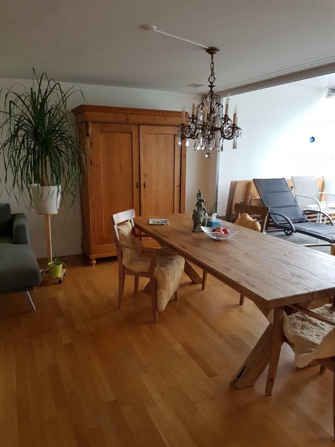 Zimmer In Penthouse-Wohnung Windisch Екстериор снимка