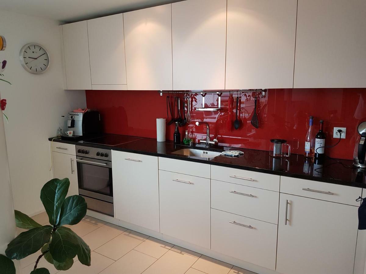 Zimmer In Penthouse-Wohnung Windisch Екстериор снимка