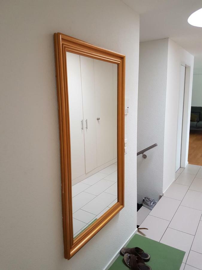Zimmer In Penthouse-Wohnung Windisch Екстериор снимка
