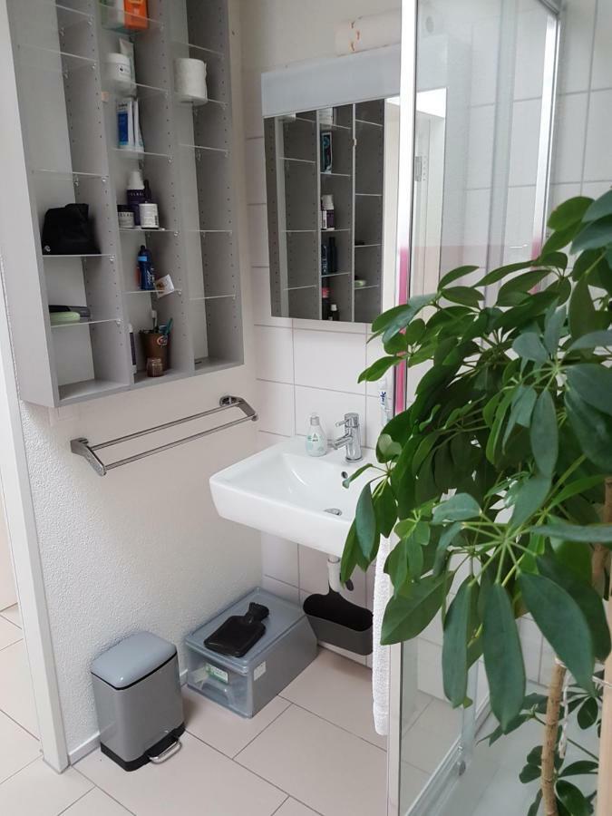 Zimmer In Penthouse-Wohnung Windisch Екстериор снимка