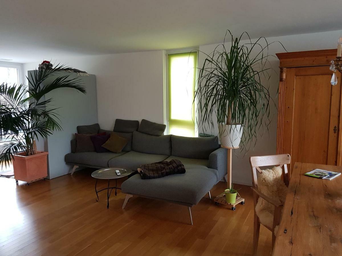 Zimmer In Penthouse-Wohnung Windisch Екстериор снимка