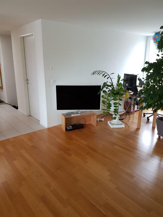 Zimmer In Penthouse-Wohnung Windisch Екстериор снимка
