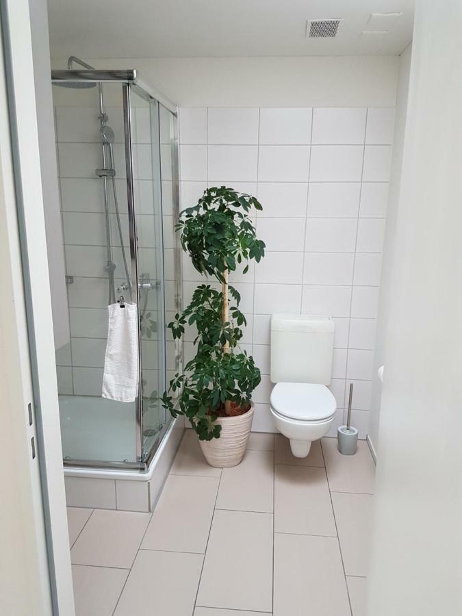 Zimmer In Penthouse-Wohnung Windisch Екстериор снимка