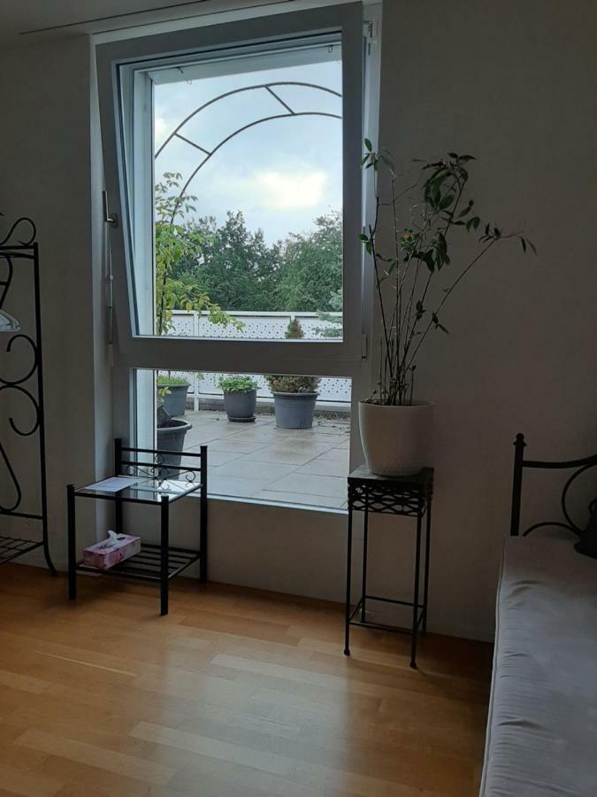 Zimmer In Penthouse-Wohnung Windisch Екстериор снимка