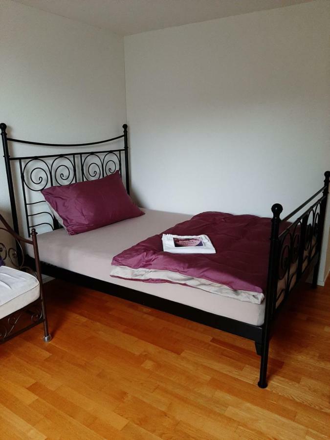 Zimmer In Penthouse-Wohnung Windisch Екстериор снимка
